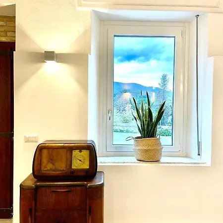 Aste - * San Gregorio (Sardinia)